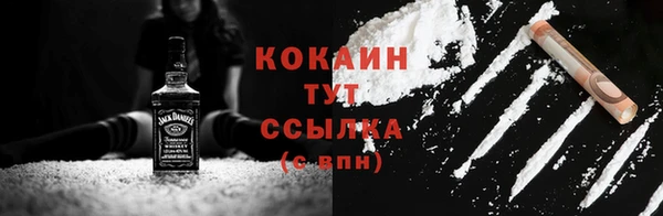 spice Богородицк