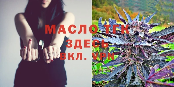 spice Богородицк