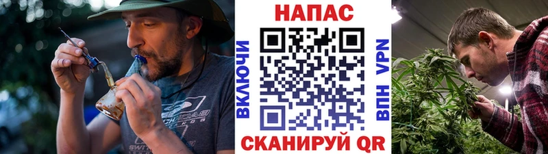 Канабис ГИДРОПОН Медногорск